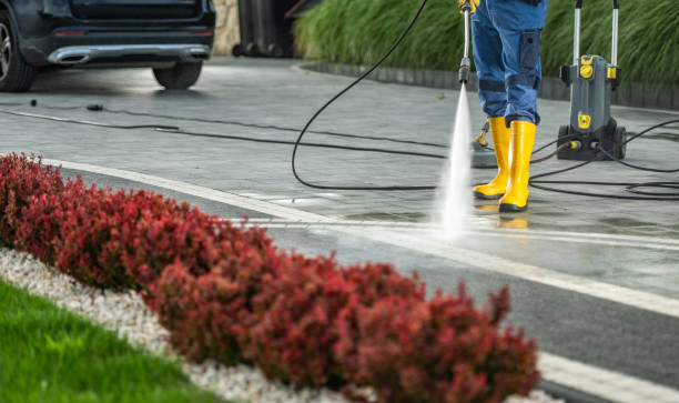 Best Building Exterior Pressure Washing in Havana, IL